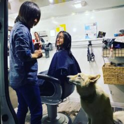 Katsu Mobile Hair Salon